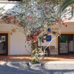 CLINICA VETERINARIAS, DENTISTA,